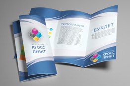 Печать буклетов